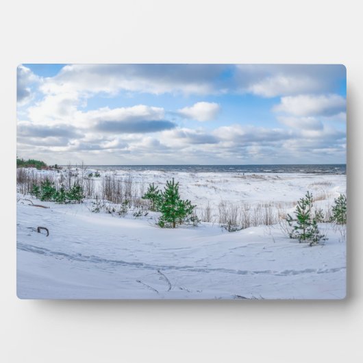 Ostseeküste im Winter schneebedeckt Fotoplatte (Vorderseite)