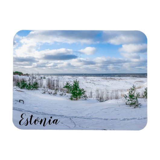 Ostseeküste im Winter schneebedeckt Magnet (Horizontal)