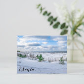 Ostseeküste im Winter schneebedeckt Postkarte (Stehend Vorderseite)