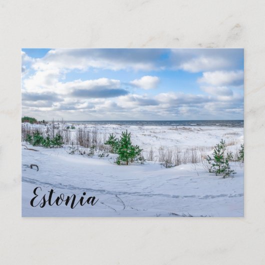 Ostseeküste im Winter schneebedeckt Postkarte (Vorderseite)
