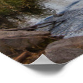 OstSierra, Bischof Creek, Kalifornien Outlet Poster (Ecke)