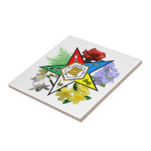 Oststern-Blumenfliese Fliese (Seite)