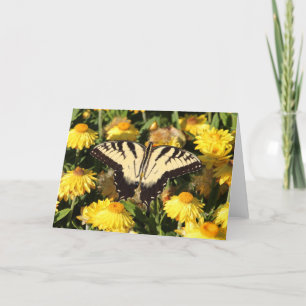 Osttiger-Frack Feiertagskarte