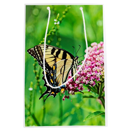 Osttiger-Frack-Schmetterling Mittlere Geschenktüte (Vorderseite)