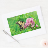 Osttiger-Frack-Schmetterling Rechteckiger Aufkleber (Umschlag)