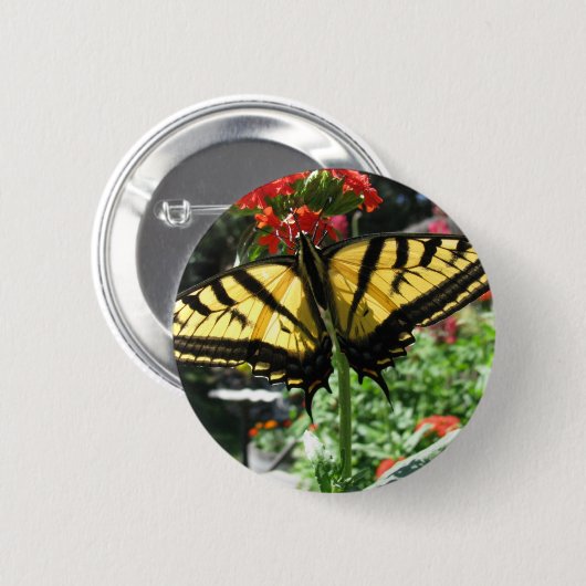 Osttiger-Frack-Schmetterlings-Button Button (Vorne & Hinten)