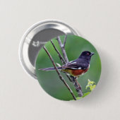 Osttowhee-Knopf Button (Vorne & Hinten)