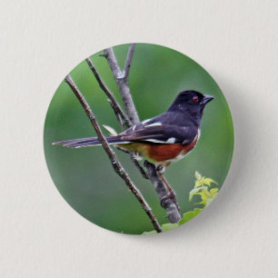 Osttowhee-Knopf Button
