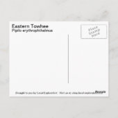 Osttowo Postkarte (Rückseite)