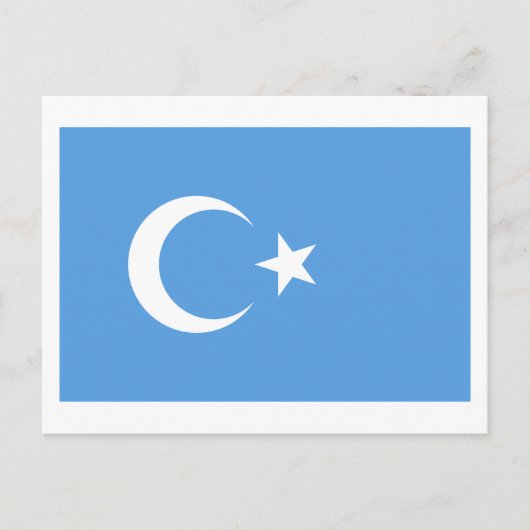 Ostturkestan Uyghur Flag Postkarte (Vorderseite)