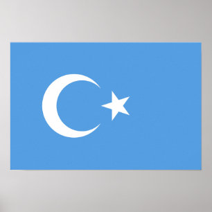 OstTurkestan Uyghur Flagge Poster