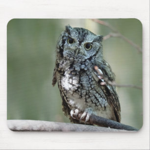 Ostuch, Schüssel, sitzend Mousepad