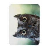 Ostueckenportrait mit großen Augen Magnet (Vertikal)