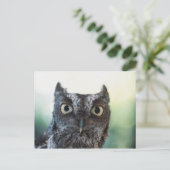 Ostueckenportrait mit großen Augen Postkarte (Stehend Vorderseite)