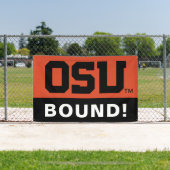 OSU BANNER (InSitu)