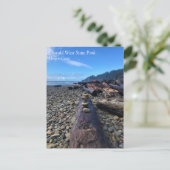 Oswald West Staat Park, Oregon Postcard Postkarte (Stehend Vorderseite)