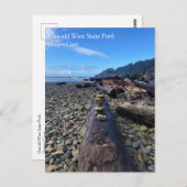 Oswald West Staat Park, Oregon Postcard Postkarte (Vorne/Hinten)