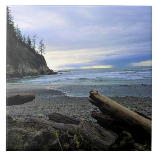 Oswald West State Park Oregon Coast Fliese (Vorderseite)