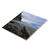 Oswald West State Park Oregon Coast Fliese (Seite)