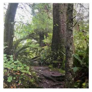 Oswald West State Park Oregon Coast Fliese