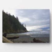 Oswald West State Park Oregon Coast Fotoplatte (Vorderseite)