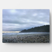 Oswald West State Park Oregon Coast Fotoplatte (Vorderseite)