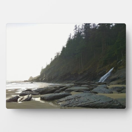 Oswald West State Park Oregon Coast Fotoplatte (Vorderseite)