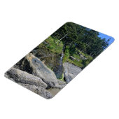 Oswald West State Park Oregon Coast Magnet (Linke Seite)