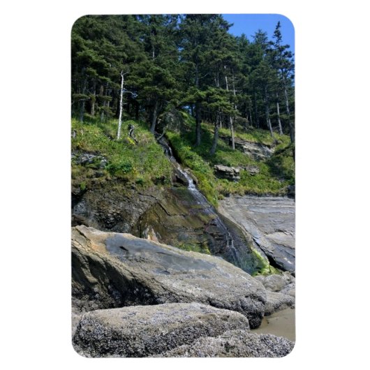 Oswald West State Park Oregon Coast Magnet (Vertikal)