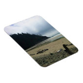 Oswald West State Park Oregon Coast Magnet (Rechte Seite)