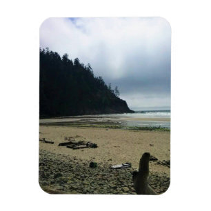 Oswald West State Park Oregon Coast Magnet