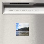 Oswald West State Park Oregon Coast Magnet (In Situ (Geschirrspüler))