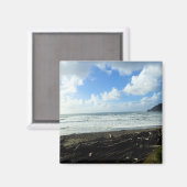 Oswald West State Park Oregon Coast Magnet (Vorderseite/Rückseite)