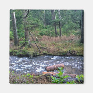 Oswald West State Park Oregon Coast Magnet