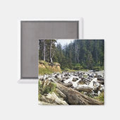 Oswald West State Park Oregon Coast Magnet (Vorderseite/Rückseite)