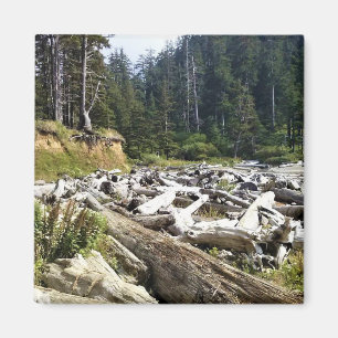 Oswald West State Park Oregon Coast Magnet