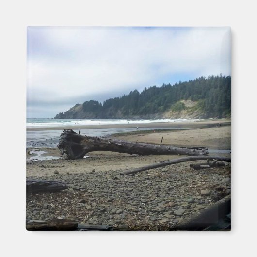 Oswald West State Park Oregon Coast Magnet (Vorne)