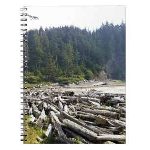 Oswald West State Park Oregon Coast Notizblock