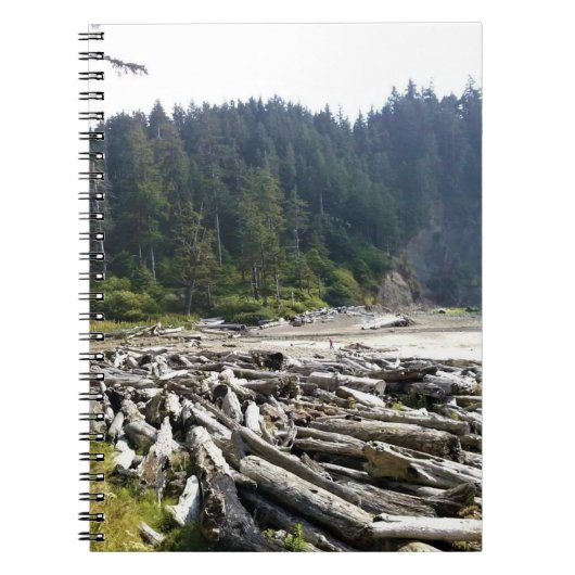 Oswald West State Park Oregon Coast Notizblock (Vorderseite)