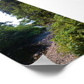 Oswald West State Park Oregon Coast Poster (Ecke)