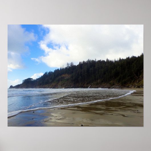 Oswald West State Park Oregon Coast Poster (Vorne)