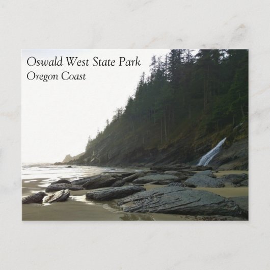 Oswald West State Park Oregon Coast Postkarte (Vorderseite)