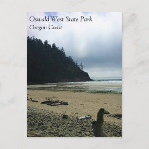 Oswald West State Park Oregon Coast Postkarte
