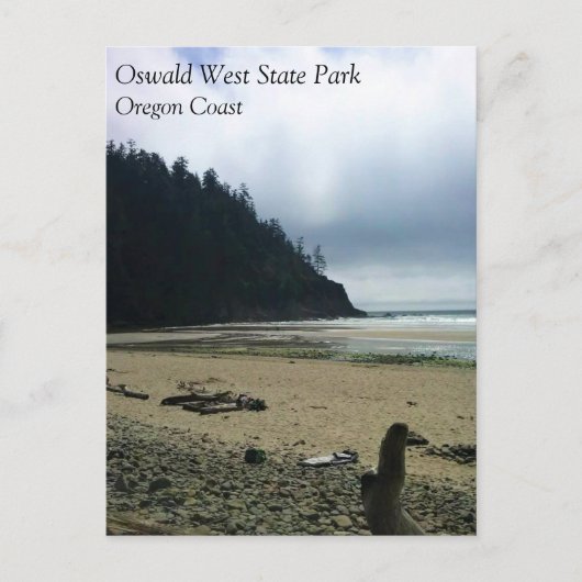Oswald West State Park Oregon Coast Postkarte (Vorderseite)