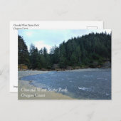 Oswald West State Park Oregon Coast Postkarte (Vorne/Hinten)