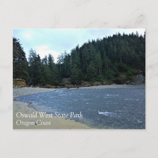 Oswald West State Park Oregon Coast Postkarte (Vorderseite)