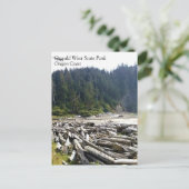 Oswald West State Park Oregon Coast Postkarte (Stehend Vorderseite)