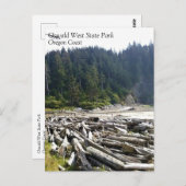 Oswald West State Park Oregon Coast Postkarte (Vorne/Hinten)