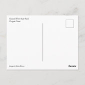 Oswald West State Park Oregon Coast Postkarte (Rückseite)