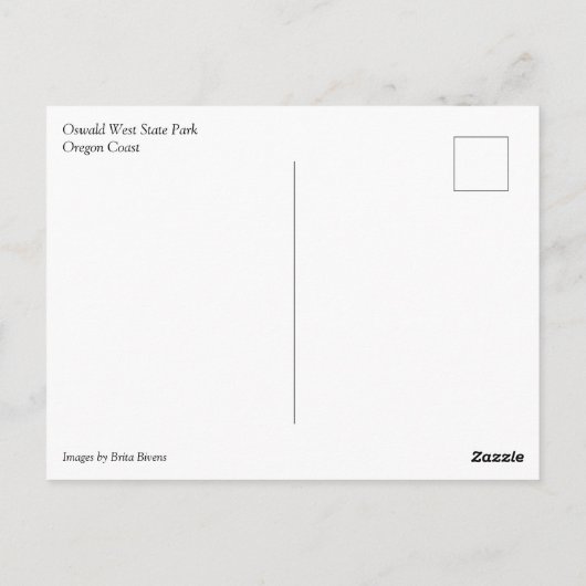 Oswald West State Park Oregon Coast Postkarte (Rückseite)